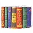 thumbnail image 3 of Juniper Books House Mashup Book Covers Only - Compatible with Hardcover Harry Potter Series | Books NOT Included, 3 of 4