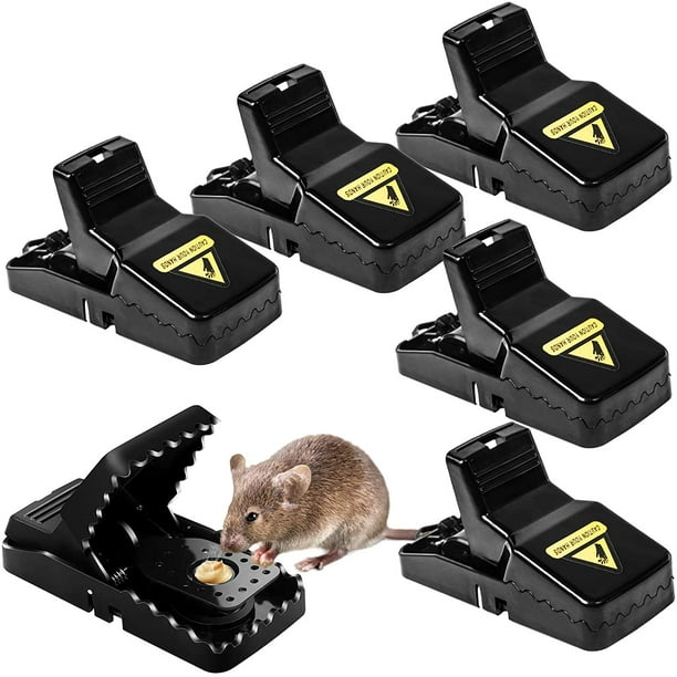 Piège à souris, petits pièges à rats qui fonctionnent, les meilleurs pièges  à souris sans danger pour tuer les souris, tueur de souris avec tasse à  appât détachable, attrape-souris sûr et efficace