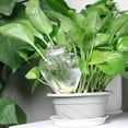 thumbnail image 4 of witspace witspace Self Watering Spikes, Automatic Watering Machine, Household Plant Watering Spikes Travel for Indoor Plants & Garden, Vacation & Busy People, 4 of 9
