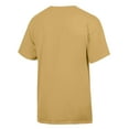 thumbnail image 3 of Men's ComfortWash Yellow Montana State Bobcats Dog T-Shirt, 3 of 3