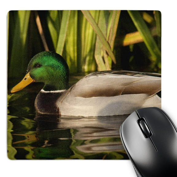 3dRose, Drake Mallard Duck - NA02 RBR0007 - Rick A. Brown, MousePad