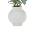 thumbnail image 5 of Anko Artificial Eucalyptus Stems in Vase, 5 of 5