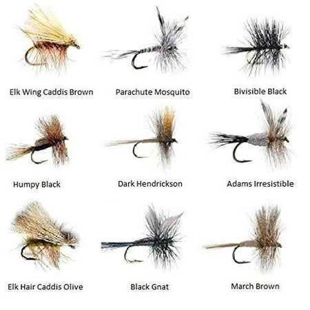 Feeder Creek Fly Fishing Flies Assortment for Trout Fishing and Other Freshwater Fish - 36 Dry Flies - 18