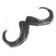 thumbnail image 4 of Synthetic Grey Beard Prop for Halloween Cosplay Self Adhesive Fake Facial Hair Accessory for Party Costume Events, 4 of 4