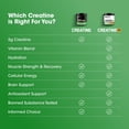 thumbnail image 5 of Optimum Nutrition, Micronized Creatine Powder, Unflavored 60 Servings, 5 of 12