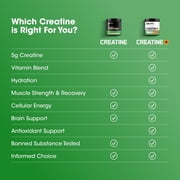 Optimum Nutrition, Micronized Creatine Powder, Unflavored 60 Servings