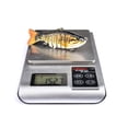thumbnail image 4 of Swimbait Fishing Lure Wobblers 7 Segment Minnow Sinking Plastic Tackle Hard Baits, 4 of 8