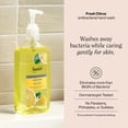thumbnail image 4 of (6 pack) Suave Antibacterial Hand Wash Soap, Fresh Citrus, Kills 99.9% of Bacteria, 12 FL OZ Pump, 4 of 11