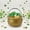 Gold 6", variant on PMU 6" St. Patrick's Day Pot of Gold Bucket Plastic Cauldron For St. Patrick's Day Leprechaun & Mardi Gras Party Decoration Supply Accessory