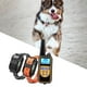 thumbnail image 3 of Collar de choque para adiestramiento de perros Zulema 875 yardas 2 piezas negro naranja, 3 of 8