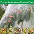 thumbnail image 4 of Malla de protección para jardín de material duradero, malla de protección ligera y ajustada para plantas durante todo el año (2 m x 5 m), 4 of 5