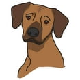 thumbnail image 2 of SignMission 12 in. Rhodesian Ridgeback Decal - Dog Lover Super Cute Sticker, 2 of 2