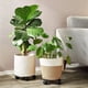 thumbnail image 2 of Cajas De Metal Para Plantas Con Ruedas, Paquete De 4 Soportes Para Plantas Con Ruedas Para Macetas De Interior Y Exterior, 30 Cm De Diámetro, 2 of 5