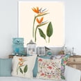 thumbnail image 3 of Designart 'Ancient Strelitzia Flowers' Traditional Framed Art Print, 3 of 4