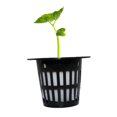 thumbnail image 3 of AMERTEER RÉSEAU DE PLANTATION 100Pcs Slotted Planting Cups Mesh Pot Net Panier Hydroponique Aéroponique Conteneur, 3 of 6