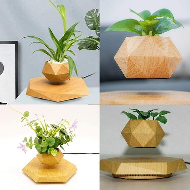 ceramic bonsai pots Ceramic Glazed Bonsai Planter – Elegant & Durable Design – Elemental Bonsai  Nursery