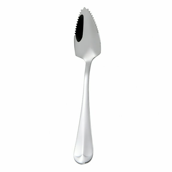 ACDANC Stainless Steel Grapefruit Spoons for Citrus Fruit,Finish Serrated Grapefruit Spoons,Watermelon Dessert Spoon