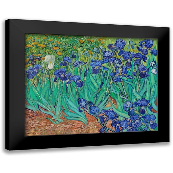 Van Gogh, Vincent 14x12 Black Modern Framed Museum Art Print Titled - Irises (1889)