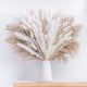 thumbnail image 1 of Ramo de hierba de pampa seca natural, ramo de decoración del hogar boho, ramo de flores secas de phragmitas para bodas, arreglos florales, decoraciones del hogar, 1 of 5