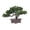 longevity, variant on Artificial Bonsai Tree Decor, Corner Accent for Home Desk & Shelf Display