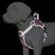 thumbnail image 5 of Arnés reflectante para perros, tela Oxford transpirable, chaleco ajustable para perros, arnés con gancho, bucle y hebilla, color morado M, 5 of 8