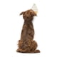 thumbnail image 5 of Alfombrilla para lamer perros Genuine Fred Slow Feeder helado antideslizante, 5 of 5