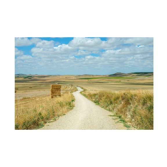 Ben Heine 'Santiago de Compostela pilgrimage 165' Canvas Art