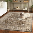 thumbnail image 3 of SAFAVIEH Hazel Henley Oriental Area Rug, Brown/Ivory, 5'3" x 7'6", 3 of 11