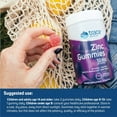 thumbnail image 4 of Trace Minerals | Zinc Chewable Gummies | Natural Immune Support Booster for Adults and Kids | Vegan, Gluten Free, Non-GMO | Elderberry Flavor | 30mg of Servings, 1 Pack, 4 of 6