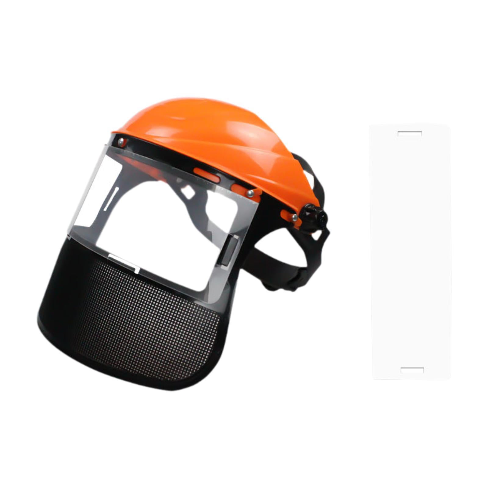 MOUNTAIN SHIELD スキー用シールド X-Fourteen ショウエイ純正(SHOEI) DRYLENS 301 防曇 ピンロック