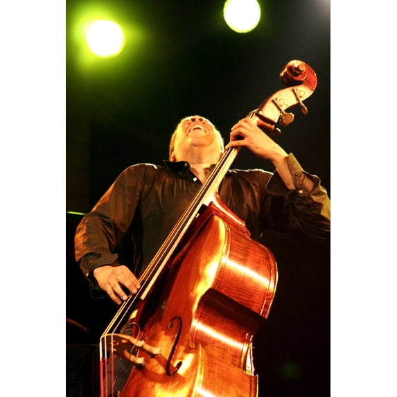 Stanley Clarke 11inx17in Mini Poster in Mail/storage/gift tube 11x17 poster