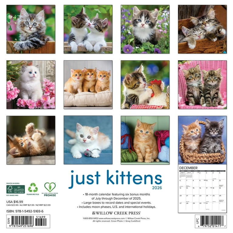 Kittens 2026 Wall Calendar - Walmart.com