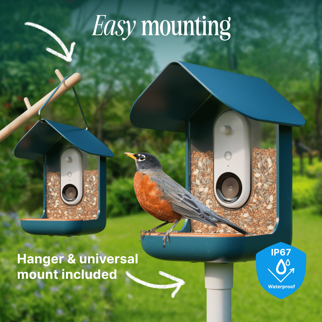 Birdbuddy, Smart Bird Feeder with Camera, Model, Blue - Walmart.com