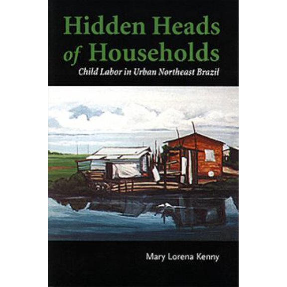 Pre-Owned Hidden Heads of Households: Child Labor in Urban Northeast Brazil (Teaching Culture: UTP Ethnographies for the Classroom) (Paperback) 1551117924 9781551117928