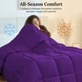 thumbnail image 3 of 100% Cotton All Season 1pc Box Stitched Comforter, Duvet Insert Cover, Pattern Solid Purple Color Super King (120"x120") Size Machine Washable Lightweight, 3 of 6