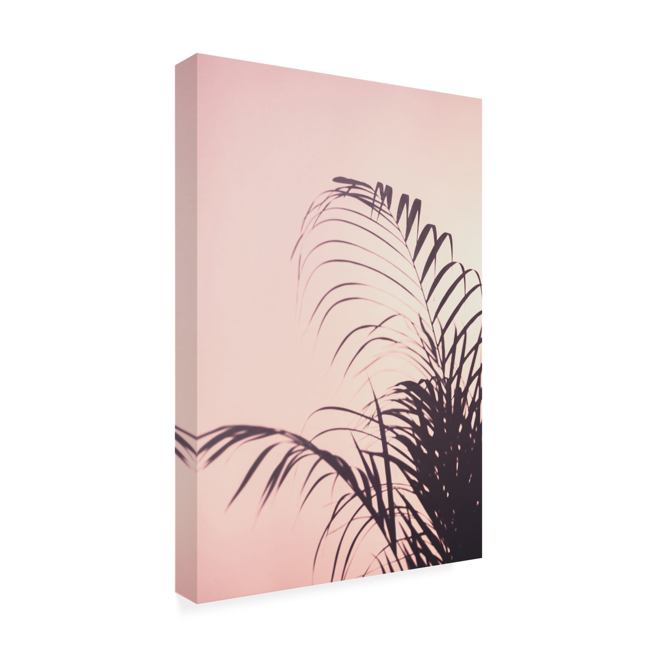 Trademark Fine Art Pictufy Studio Palm Leaves 1 Canvas Wall Art