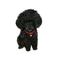 thumbnail image 3 of CafePress - Poodle Pup (Blk) Women's Long Sleeve T Shirt - Women's Long Sleeve Graphic Casual T-Shirt, 3 of 4