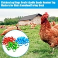 thumbnail image 4 of Chicken Leg Rings Poultry Ankle Bands Number Tag Markers for Birds Gamefowl Turkey Duck, 4 of 7