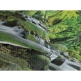 thumbnail image 3 of Ambesonne Forest Quilted Coverlet 3 Pcs, Tropic Mountain Stream, King Size, Green Brown, 3 of 4