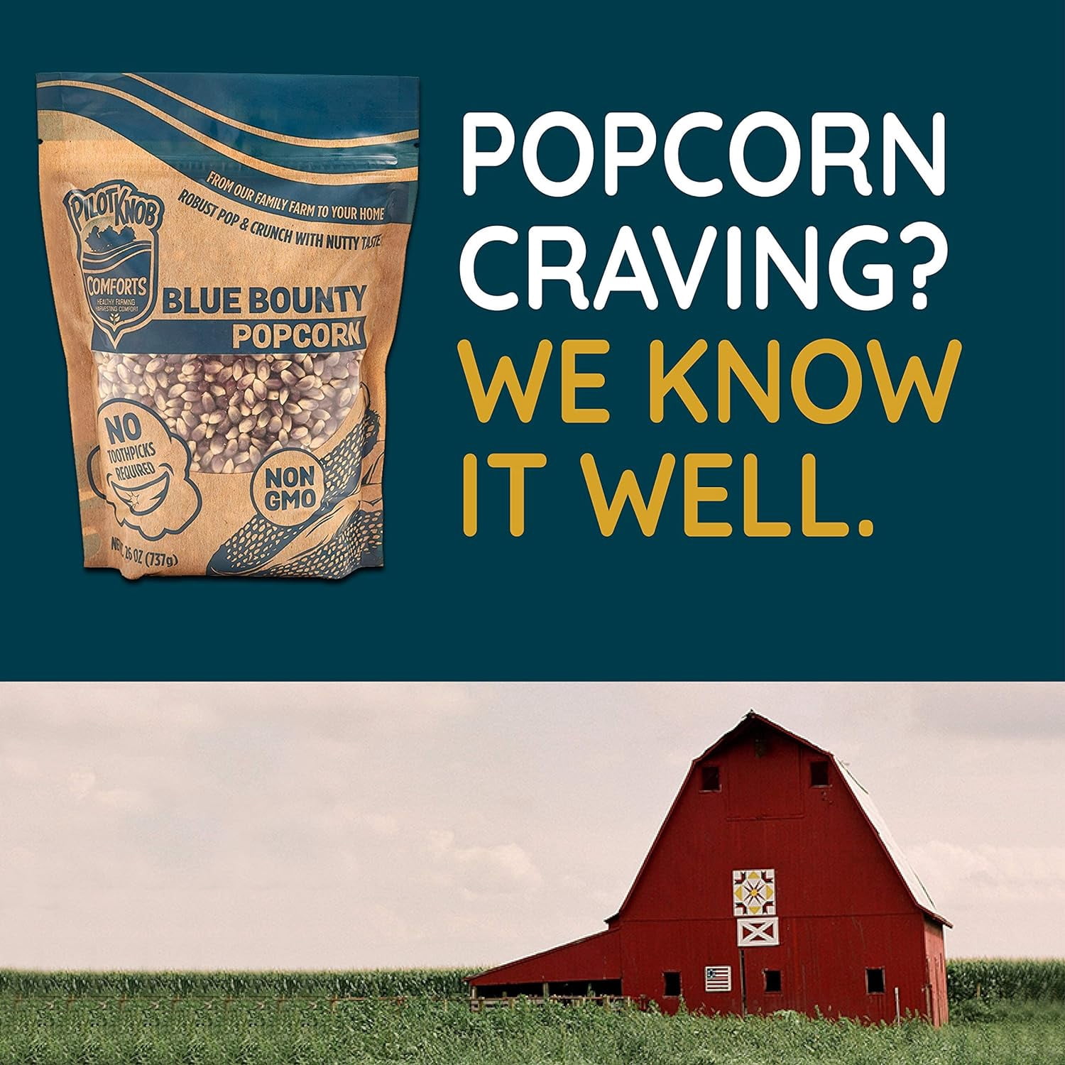 Pilot Knob Comforts Blue Bounty Gourmet Popcorn Kernels for Popcorn Machines, Microwave and Air Popper Popcorn Maker – Non-GMO, Fresh Heirloom Hull-Less Popcorn Seeds – 3 Packs (26 Oz Each)