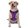 thumbnail image 1 of Balery Purple Glitter Arnés para Perros Grandes Antitirones, Arnés con Correa para Gato, Arnés Tipo Chaleco para Perros Pequeños-Small, 1 of 6