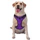 thumbnail image 1 of Fotbe Purple Glitter Arnés para Perro con Estampado –Chaleco Ajustable Acolchado con Asa de Control para Perros Grandes-Large, 1 of 6