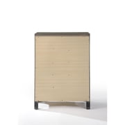 ACME Carine 5 Drawer Wooden Chest in Gray