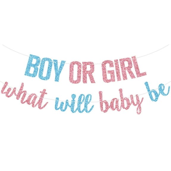 Boy or Girl Banner, What Will Baby Be Sign, He or She We Love You, Oh Baby Pregnancy Annoucement, Baby Shower New Born Party Decorations