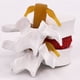 thumbnail image 5 of Speravity Modelo de vértebras lumbares, herramienta de enseñanza fácil y eficaz, herramienta de enseñanza médica, modelo de accesorios Material de laboratorio amarillo, 5 of 6