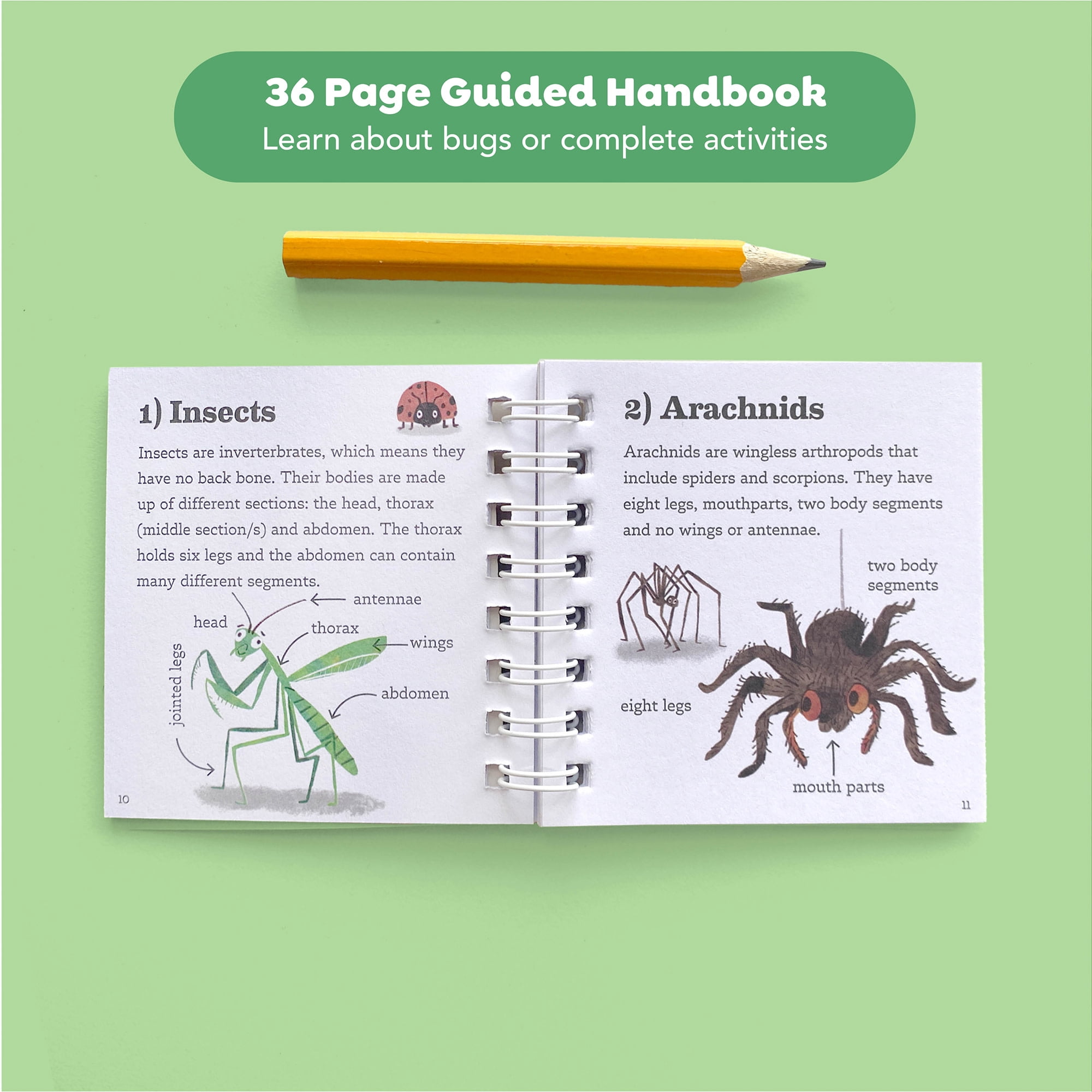 Tiger Tribe Bug Spotter Kit for Kids - Outdoor Nature Exploration, Magnifying Lid, Bug Identification Activity Booklet, Perfect for Young Nature Enthusiasts 4-8 Years