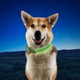 thumbnail image 6 of Nite Ize NiteDog Rechargeable LED Collar, USB Rechargeable Light Up Dog Collar w/Metal Buckle, Water Resistant, Large, Lime, 6 of 8