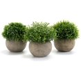 thumbnail image 1 of Pcs Indoor Artificial Plants, Plastic Fake Plants with Gray Pot Artificial Grass Decoration for Outdoor Wedding Office Table Garden New Home Gift, 9.5 x 13cm Ormromra LHH-0776, 1 of 1