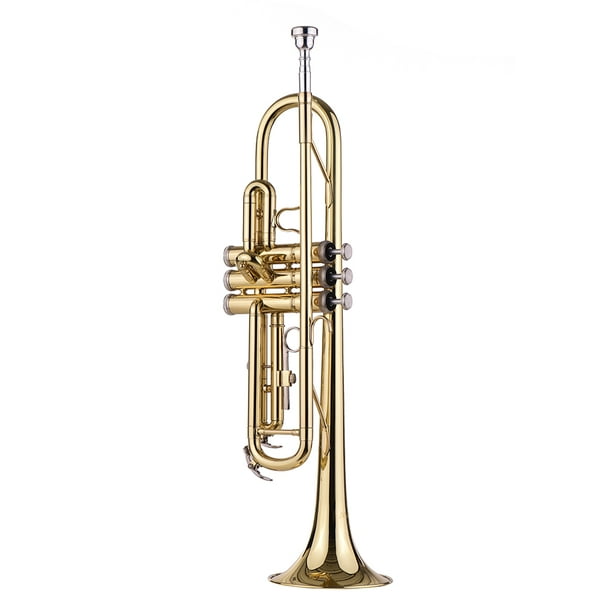 Muslady Standard Instrument à vent en Boite pour trompette avec embout  buccal Sac de nettoyage 