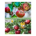 thumbnail image 3 of Paquete de 2 Trampas Solares de Avispas Colgantes Al Aire Libre, Avispas Colgantes con Luz para Chaquetas Amarillas, Avispones, Abejas, Trampas para Avispas, 3 of 5